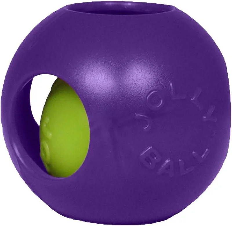 Jolly Pets Teaser Ball 10in Purple