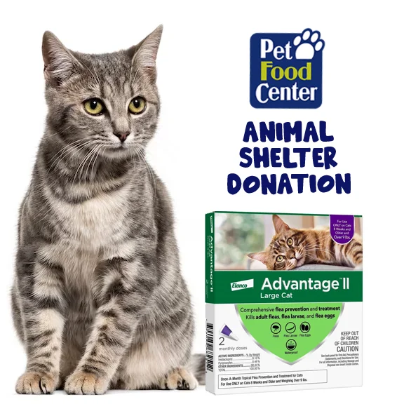 Shelter Cat Flea Prevention - Let us Pick for You - ARF