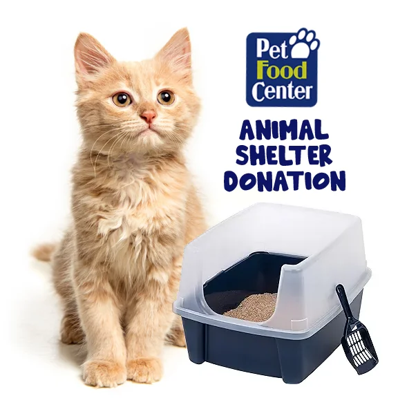 Shelter Cat Litter and Litter Box - Let us Pick for You - ARF