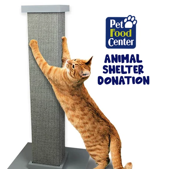 Shelter Cat Scratching Post - Let us Pick for You - Newlife