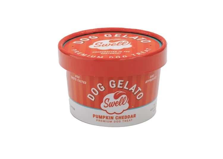 Swell Pumpkin Cheddar Frozen Gelato Dog Treat (4.5 oz)