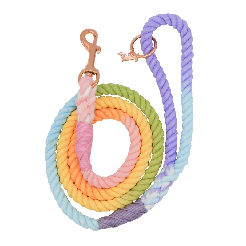 Dog Rope Leash: Pinata